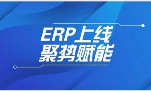 ERP上線(xiàn)，浙江德匯開(kāi)啟數(shù)字化轉(zhuǎn)型新篇章